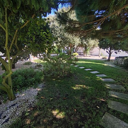 Quinta Camargue Cela Velha Exterior foto