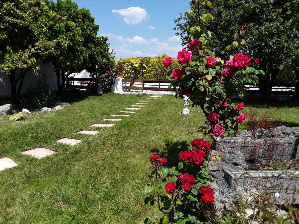 Quinta Camargue Cela Velha Exterior foto
