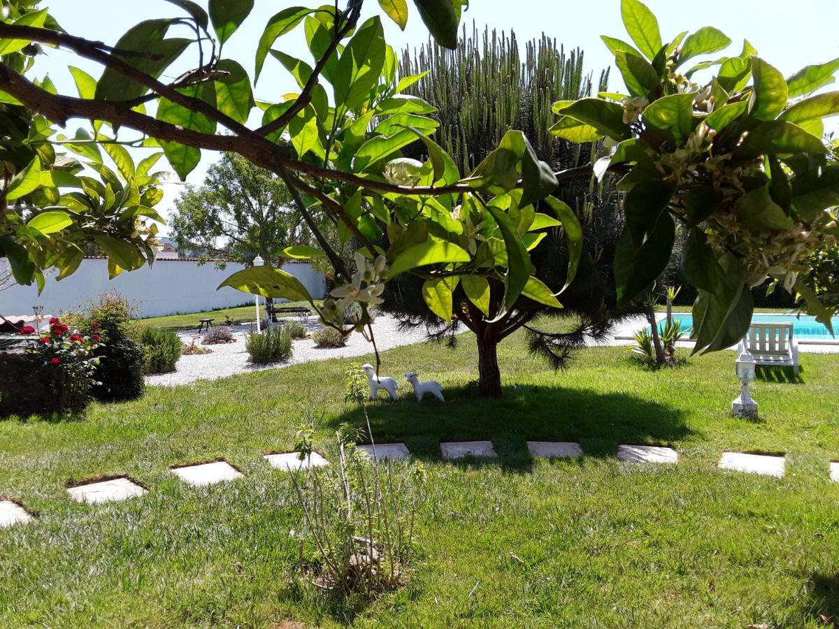 Quinta Camargue Cela Velha Exterior foto